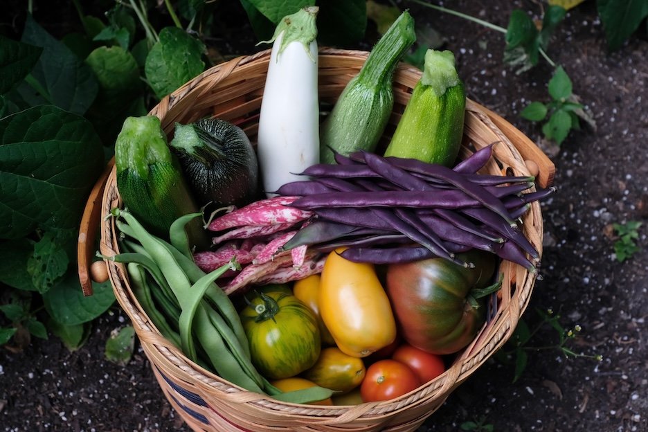 Why I garden the way I do.